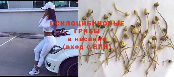 эйфоретик Балахна