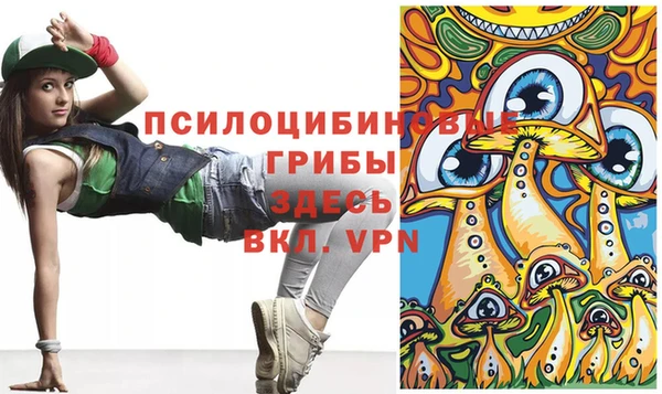 индика Покачи