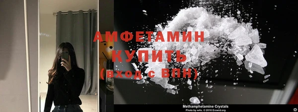 индика Покачи