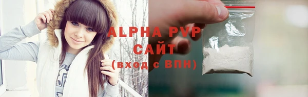 индика Покачи