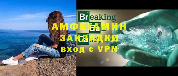индика Покачи