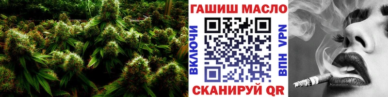 MEGA как зайти  Славгород  ТГК гашишное масло 
